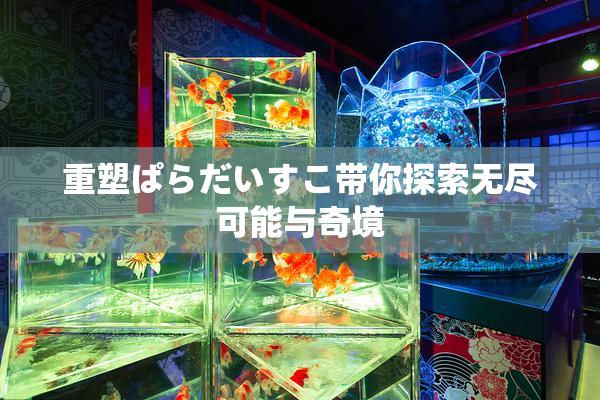 重塑ぱらだいすこ带你探索无尽可能与奇境