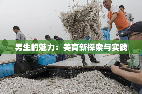 男生的魅力：美育新探索与实践