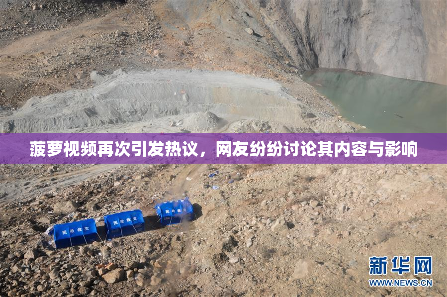 菠萝视频再次引发热议，网友纷纷讨论其内容与影响