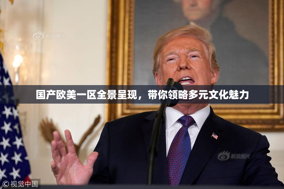 国产欧美一区全景呈现，带你领略多元文化魅力