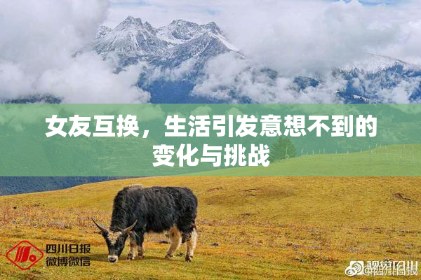 女友互换，生活引发意想不到的变化与挑战