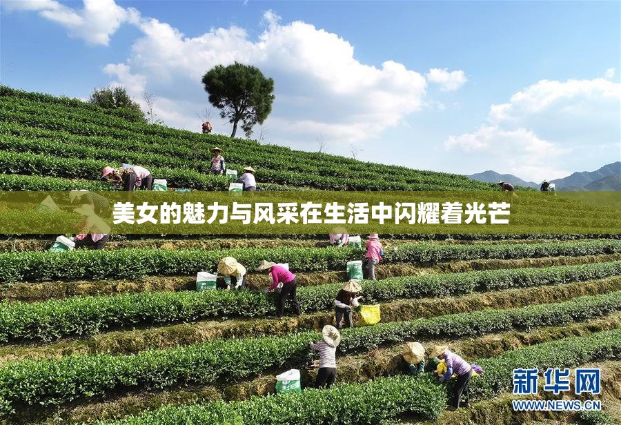 美女的魅力与风采在生活中闪耀着光芒