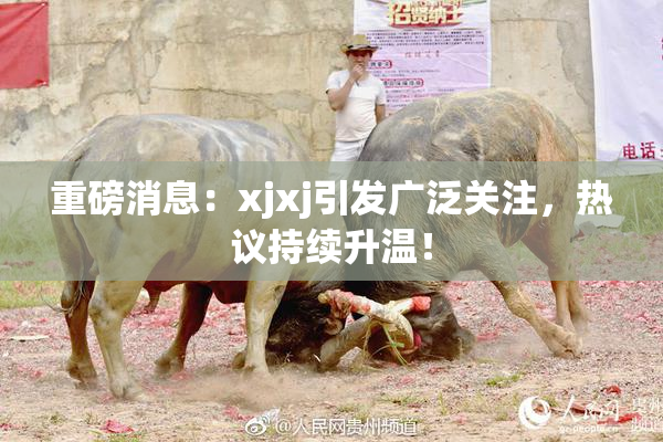 重磅消息：xjxj引发广泛关注，热议持续升温！