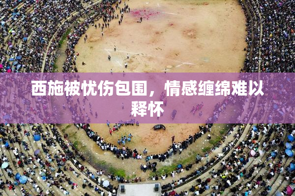 西施被忧伤包围，情感缠绵难以释怀