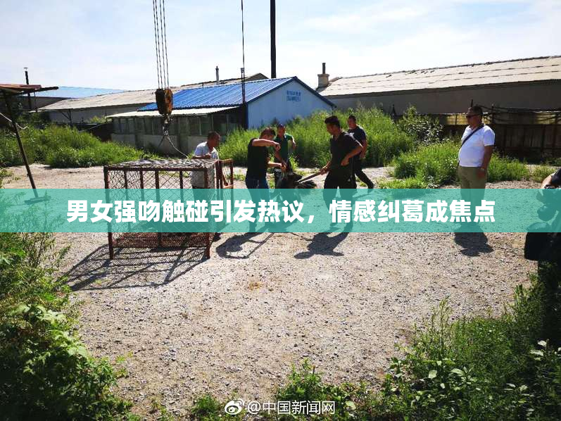 男女强吻触碰引发热议，情感纠葛成焦点