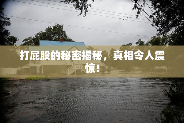 打屁股的秘密揭秘，真相令人震惊！