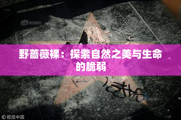 野蔷薇裸：探索自然之美与生命的脆弱