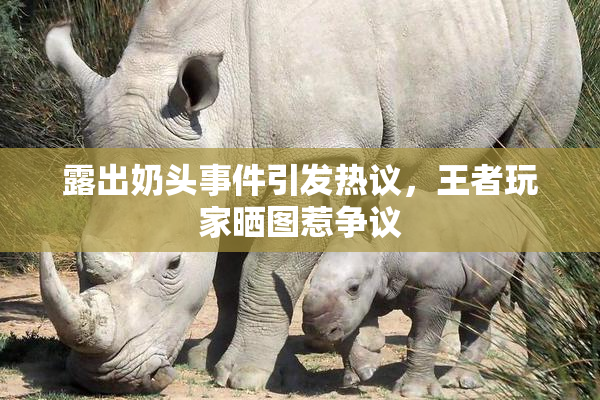 露出奶头事件引发热议，王者玩家晒图惹争议