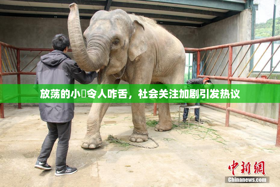 放荡的小婬令人咋舌，社会关注加剧引发热议