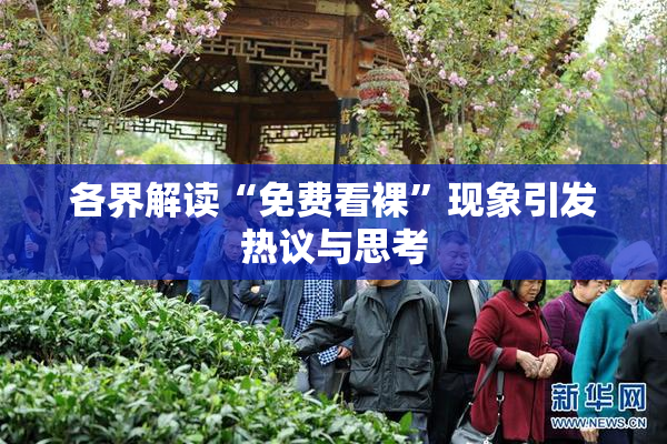 各界解读“免费看裸”现象引发热议与思考
