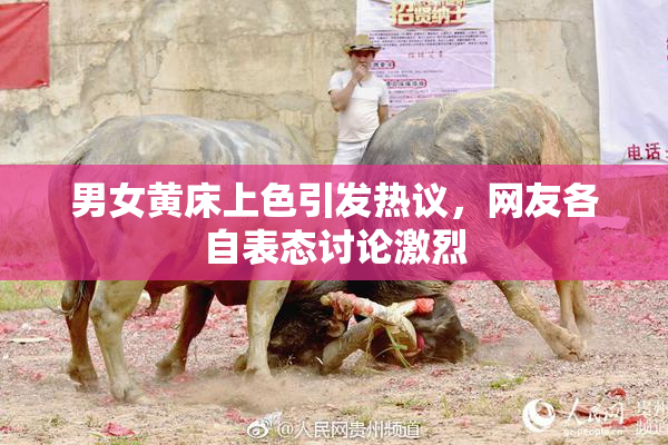 男女黄床上色引发热议，网友各自表态讨论激烈