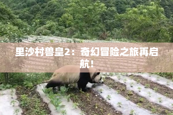 里沙村兽皇2：奇幻冒险之旅再启航！