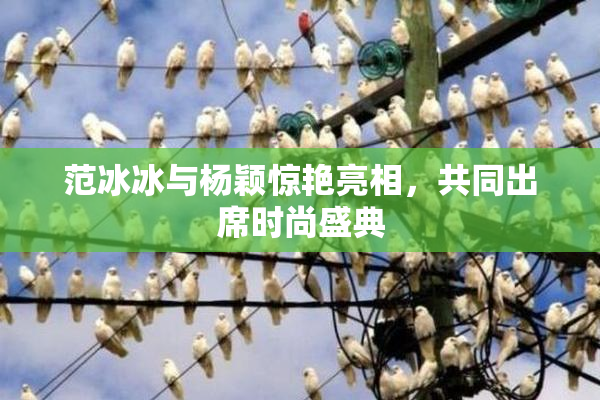 范冰冰与杨颖惊艳亮相，共同出席时尚盛典