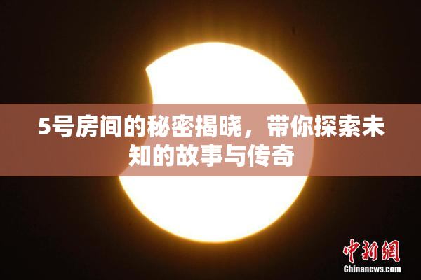 5号房间的秘密揭晓，带你探索未知的故事与传奇