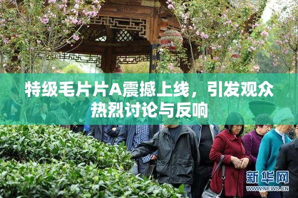 特级毛片片A震撼上线，引发观众热烈讨论与反响