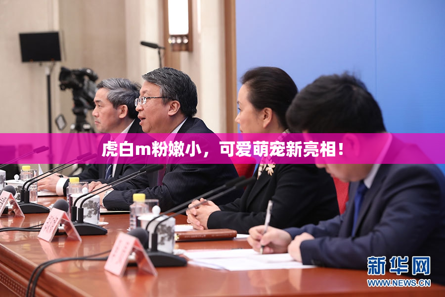 虎白m粉嫩小，可爱萌宠新亮相！