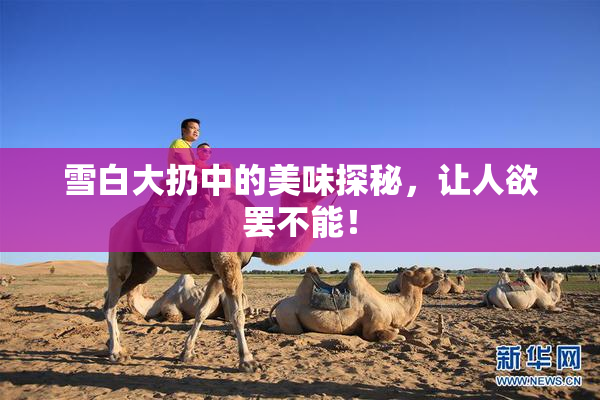 雪白大扔中的美味探秘，让人欲罢不能！