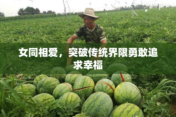 女同相爱，突破传统界限勇敢追求幸福