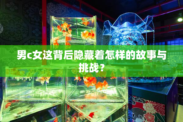 男c女这背后隐藏着怎样的故事与挑战？