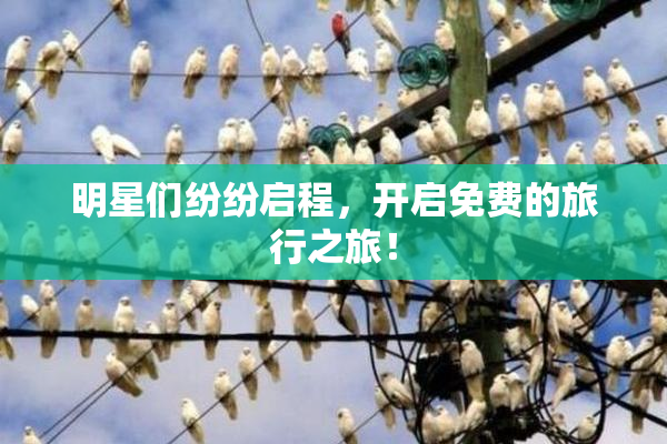 明星们纷纷启程，开启免费的旅行之旅！