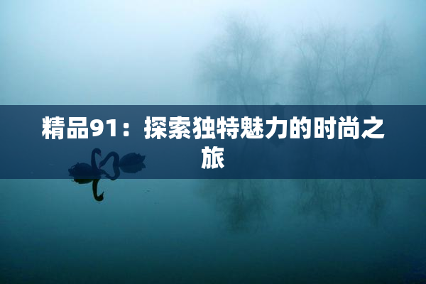精品91：探索独特魅力的时尚之旅