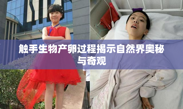触手生物产卵过程揭示自然界奥秘与奇观