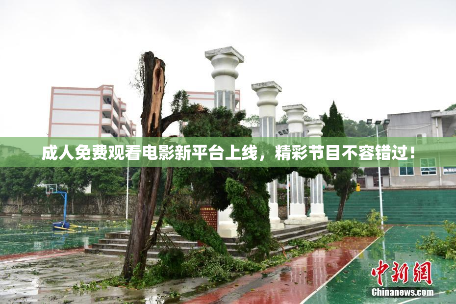成人免费观看电影新平台上线，精彩节目不容错过！