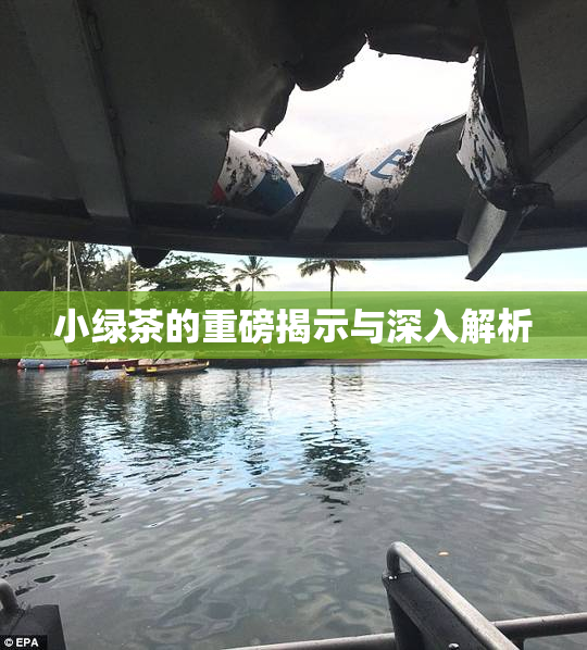 小绿茶的重磅揭示与深入解析