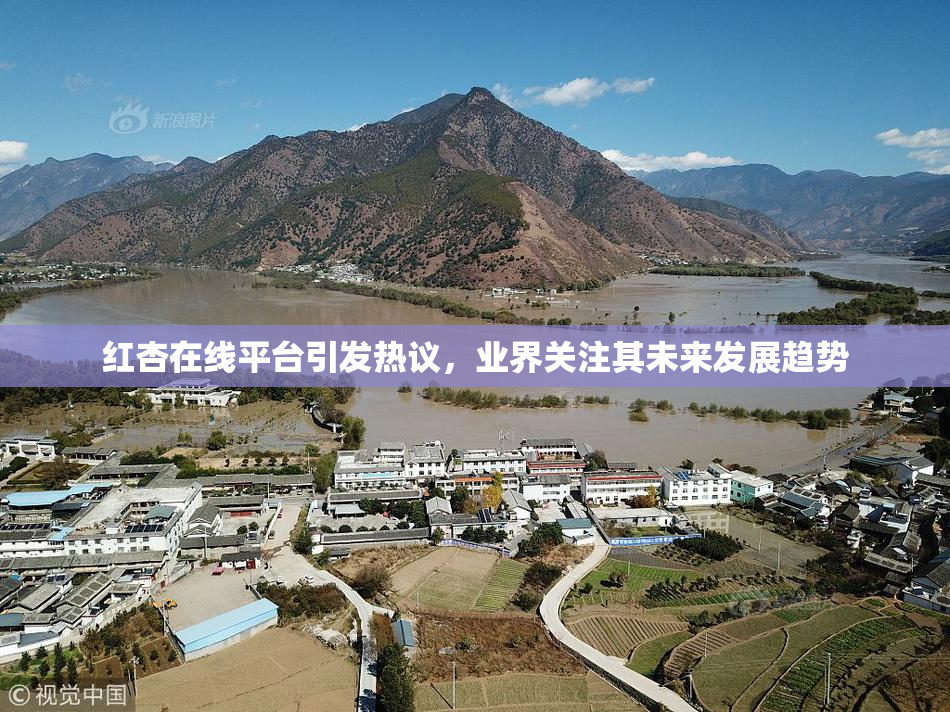 红杏在线平台引发热议，业界关注其未来发展趋势
