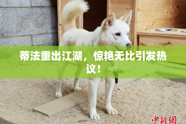 蒂法重出江湖，惊艳无比引发热议！