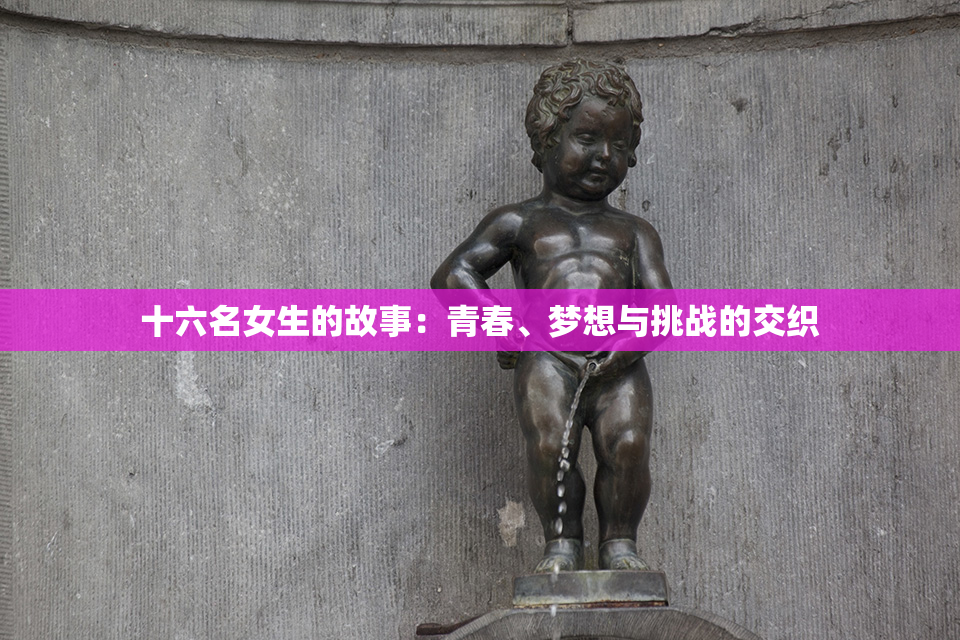 十六名女生的故事：青春、梦想与挑战的交织