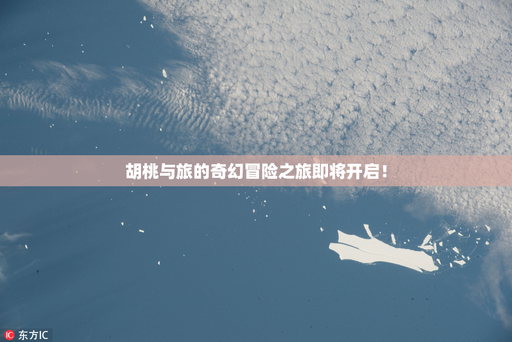 胡桃与旅的奇幻冒险之旅即将开启！