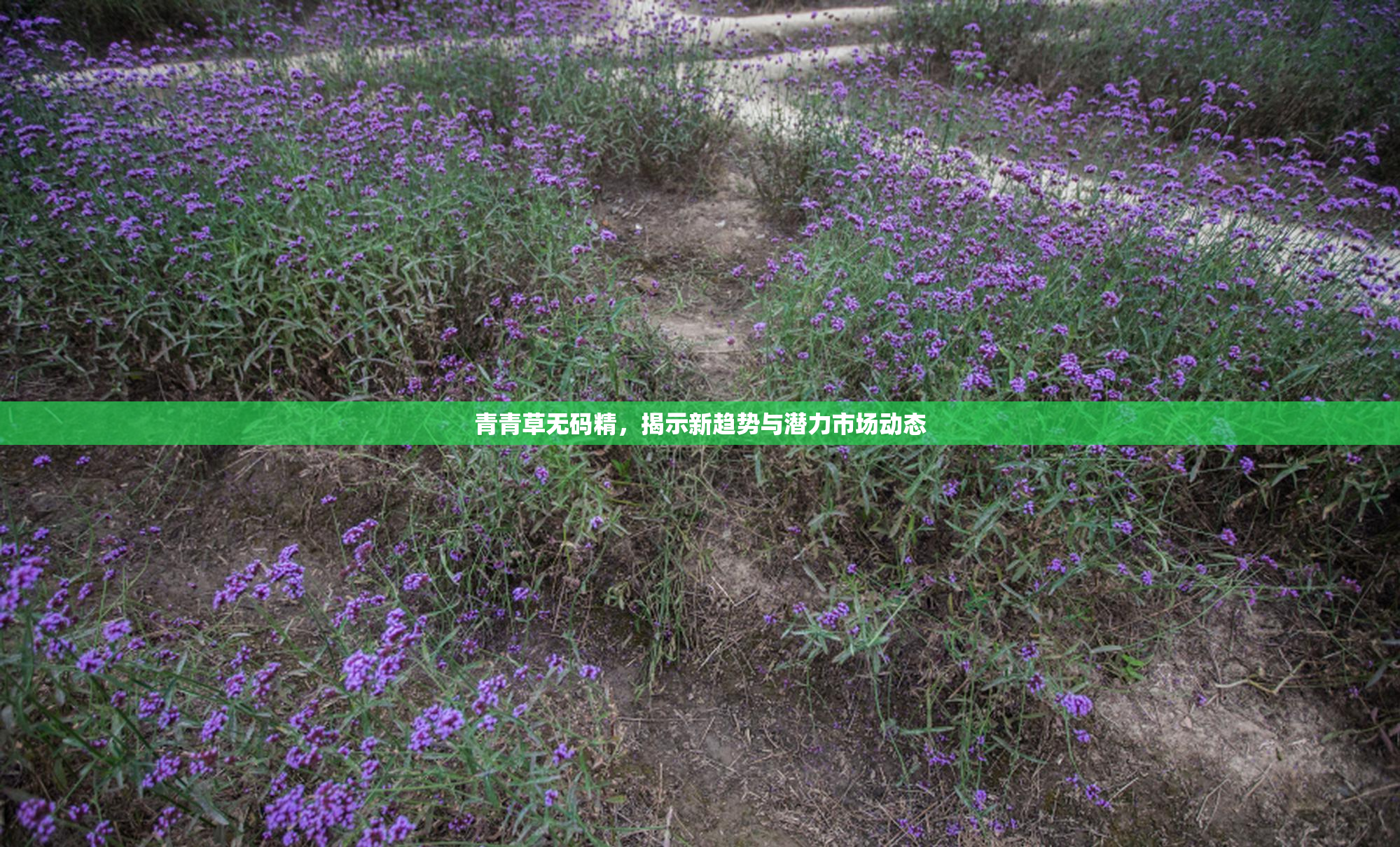 青青草无码精，揭示新趋势与潜力市场动态