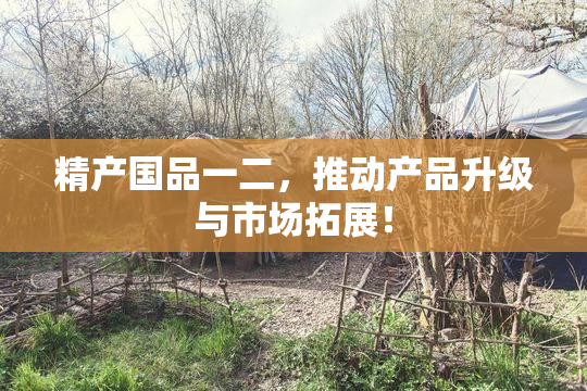 精产国品一二，推动产品升级与市场拓展！