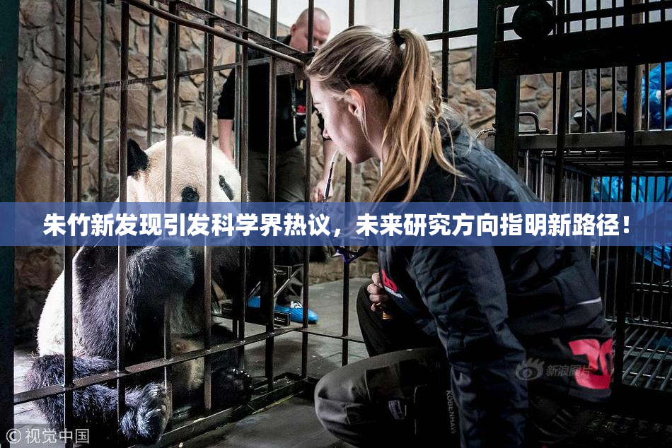 朱竹新发现引发科学界热议，未来研究方向指明新路径！