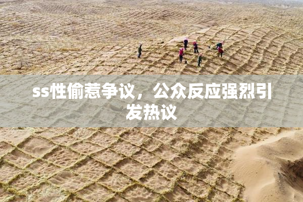 ss性偷惹争议，公众反应强烈引发热议