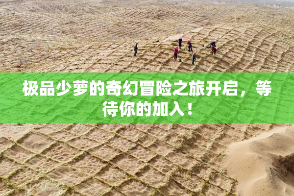 极品少萝的奇幻冒险之旅开启，等待你的加入！