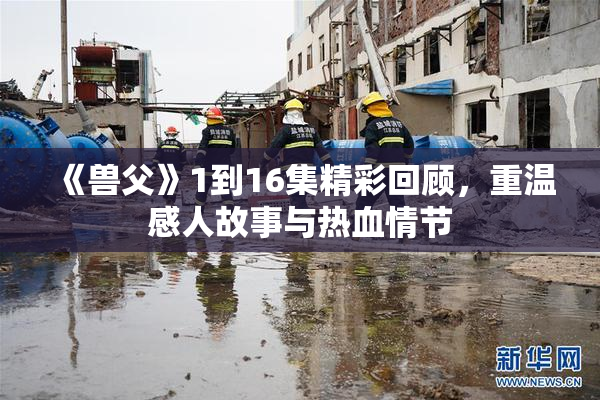 《兽父》1到16集精彩回顾，重温感人故事与热血情节