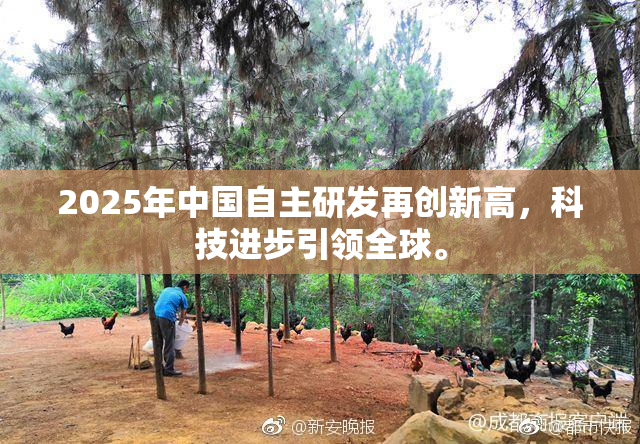 2025年中国自主研发再创新高，科技进步引领全球。