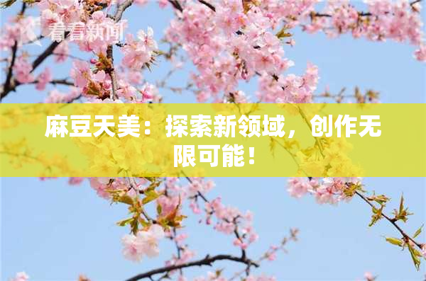 麻豆天美：探索新领域，创作无限可能！