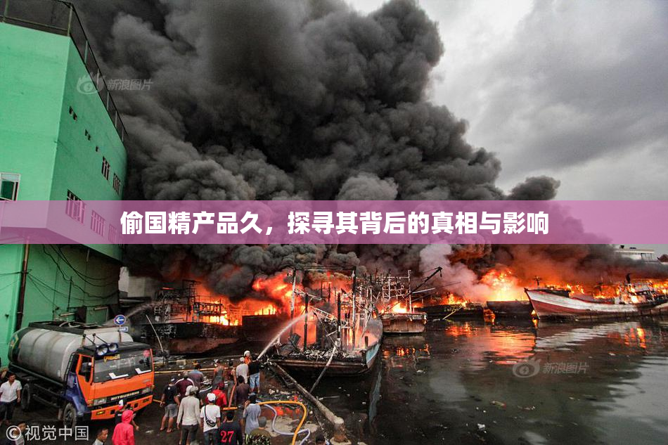 偷国精产品久，探寻其背后的真相与影响