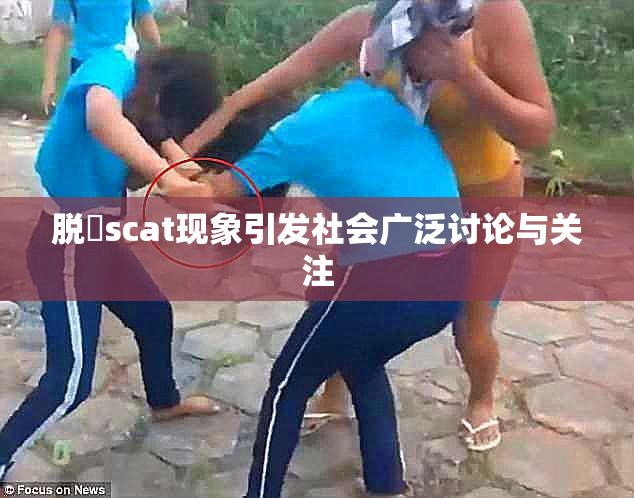 脱糞scat现象引发社会广泛讨论与关注