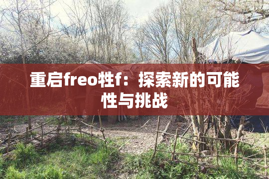 重启freo牲f：探索新的可能性与挑战