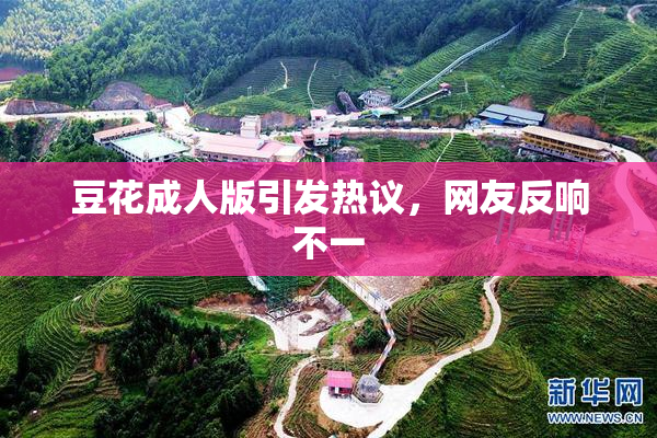 豆花成人版引发热议，网友反响不一