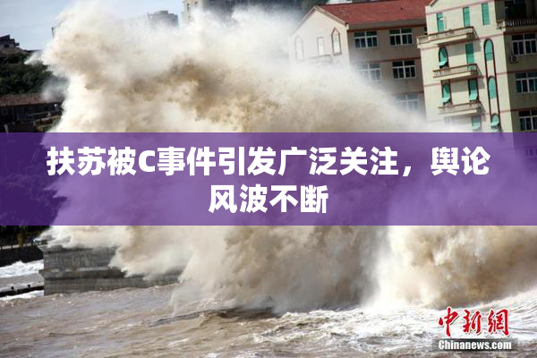 扶苏被C事件引发广泛关注，舆论风波不断