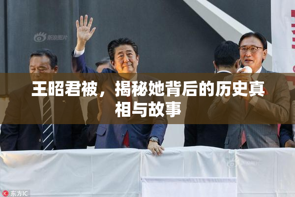 王昭君被，揭秘她背后的历史真相与故事