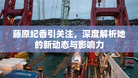 藤原纪香引关注，深度解析她的新动态与影响力
