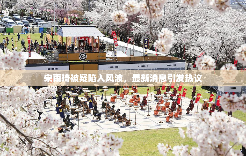 宋雨琦被疑陷入风波，最新消息引发热议
