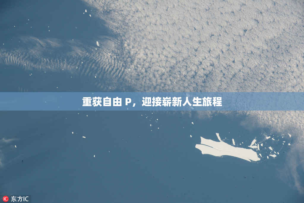 重获自由 P，迎接崭新人生旅程