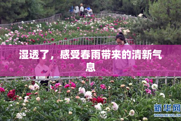 湿透了，感受春雨带来的清新气息